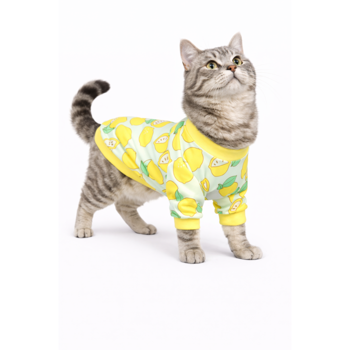 Осеннее-весенний пуловер для котов и кошек "Лимон", голубой, размер S