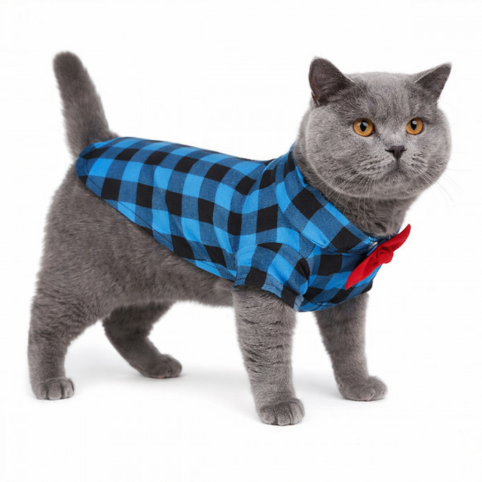 Летняя праздничная рубашка для котов и кошек "Бабочка", синяя, размер S