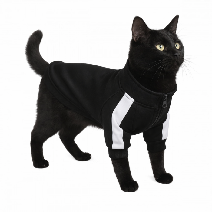 Демісезонна спортивна кофта на блискавці для котів та кішок "Sport", чорна, розмір M
