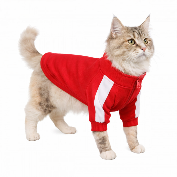 Демісезонна спортивна кофта на блискавці для котів та кішок "Sport", червона, розмір 3XL