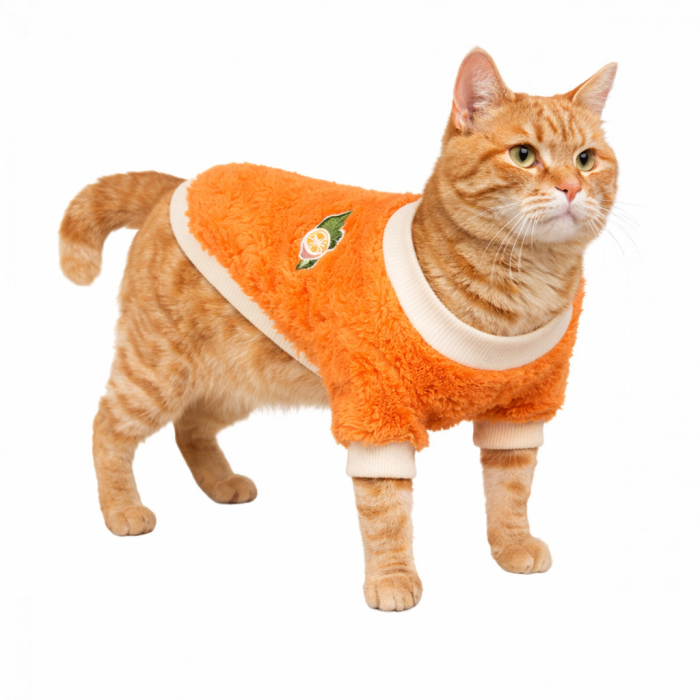 Осінньо-весняний махровий светр для котів та кішок "Лимон", помаранчевий, розмір XL