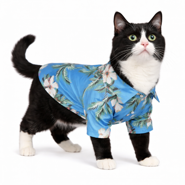 Летняя гавайская рубашка для котов и кошек на море, голубая, размер 2XL