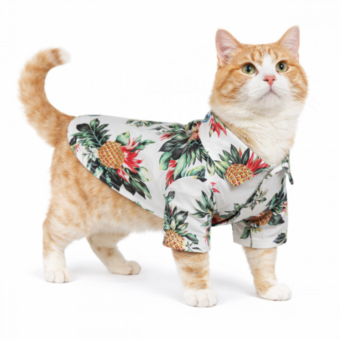 Літня гавайська сорочка для котів та кішок на море, біла 2, розмір L