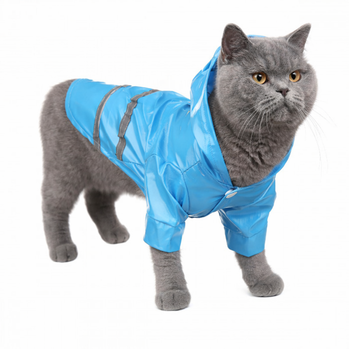Осінньо-весняний комбінезон, дощовик для котів та кішок "Rain", синій, розмір L
