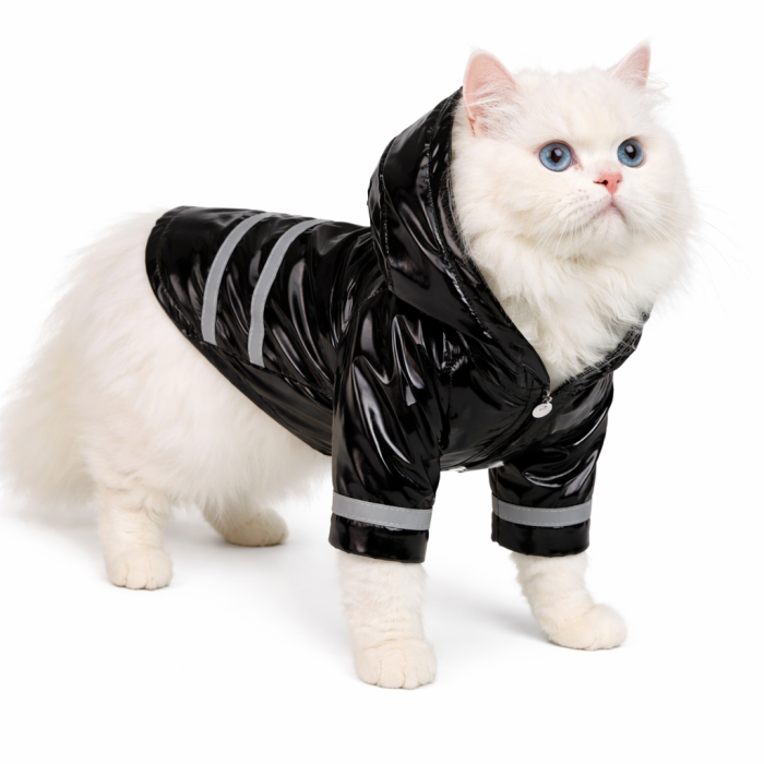 Осінньо-весняний комбінезон, дощовик для котів та кішок "Rain", чорний, розмір L