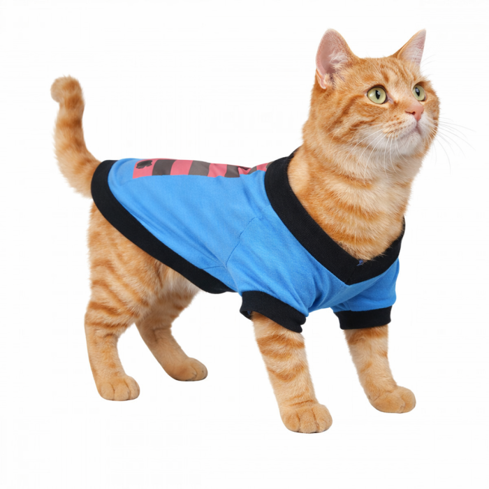 Летняя футболка для котов и кошек "Галстук", синяя, размер L