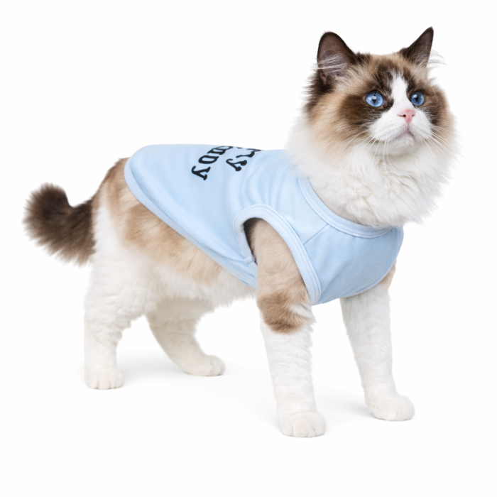 Тепла майка на флісі для котів та кішок "Я ЛЮБЛЮ СВОЮ МАМУ", блакитна, розмір L