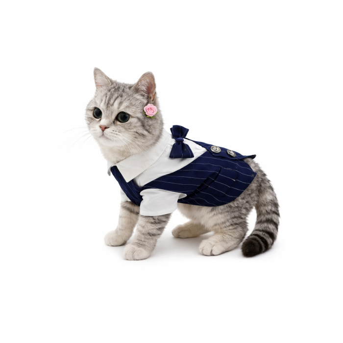 Святковий костюм для котів і котів-хлопчиків "Джентельмен", синій, розмір L