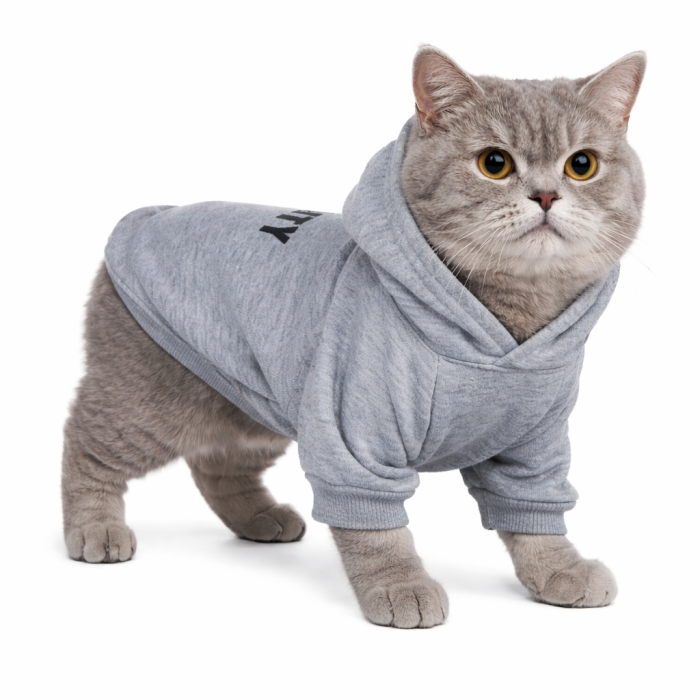 Осеннее-весеннее худи для котов и кошек "Security" с капюшоном, серое, размер L