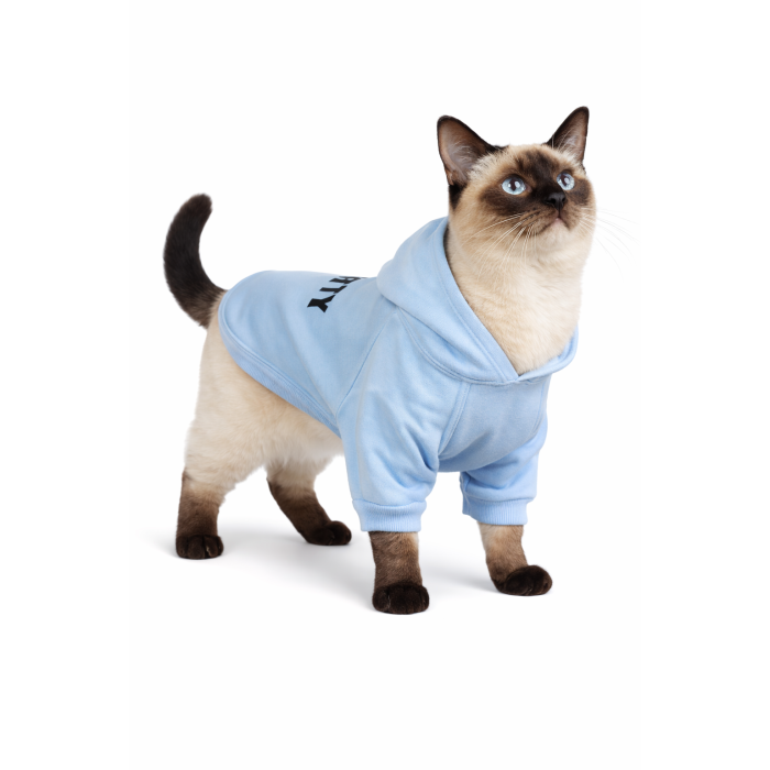 Осінньо-весняне худі для котів та кішок "Security" з капюшоном, блакитне, розмір L