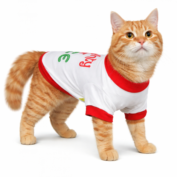 Демісезонний світшот для котів та кішок "Принт", білий, розмір S