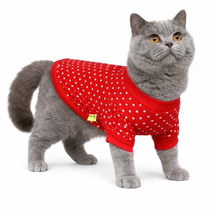 Демісезонний світшот для котів та кішок "Горошок", червоний, розмір L