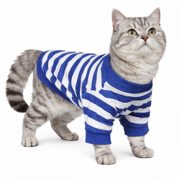 Демисезонный свитшот для котов и кошек "Моряк", сине-белый, размер M