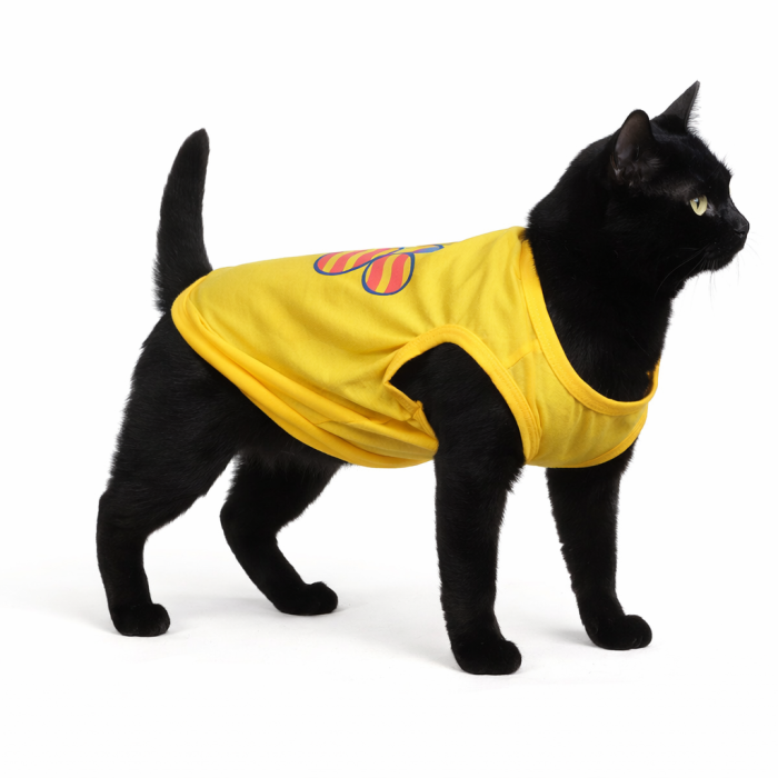 Летняя майка для котов и кошек "Лапа", желтая, размер M