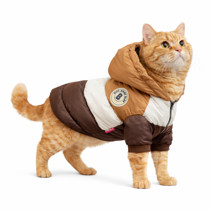Зимняя непромокаемая куртка для котов и кошек "Club", коричневая, размер 20