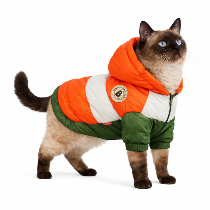 Зимова непромокальна куртка для котів та кішок "Club", оранжево-зелена, розмір 22