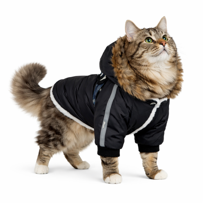 Тепла зимова курточка з капюшоном для котів та кішок "Jacket", чорна, розмір M