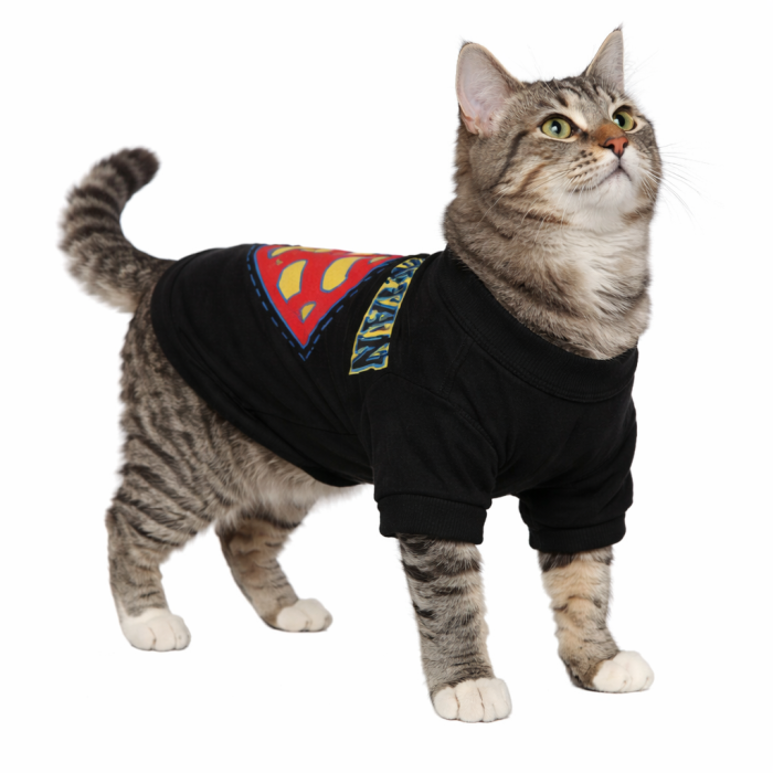 Летняя футболка для котов и кошек "Superman", черная, размер M