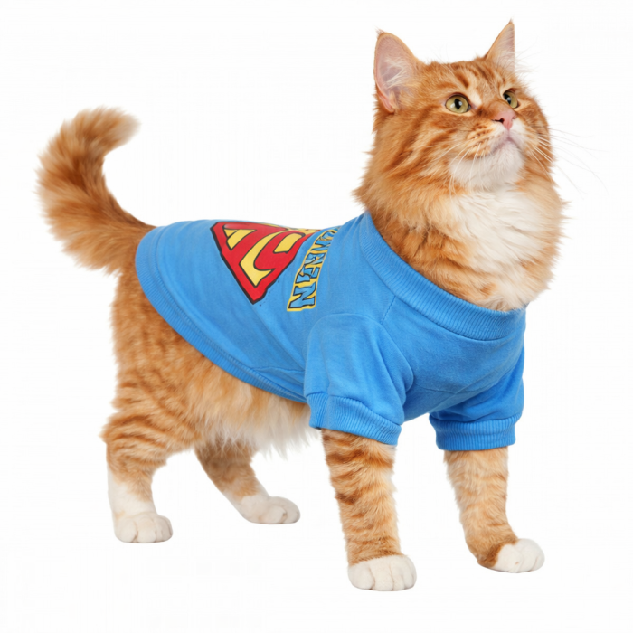 Літня футболка для котів та кішок "Superman", синя, розмір L