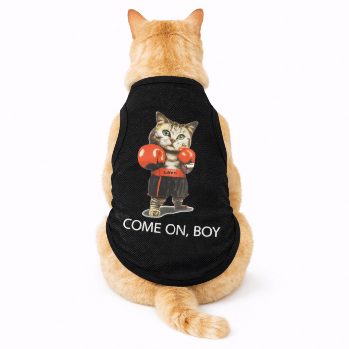 Летняя тонкая сетчатая майка для котов и кошек "Бокс кот", черная, размер L