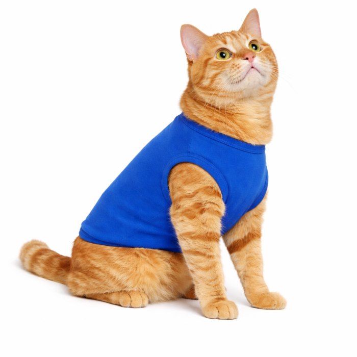 Літня трикотажна майка для котів та кішок "Однотон", синя, розмір 2XL
