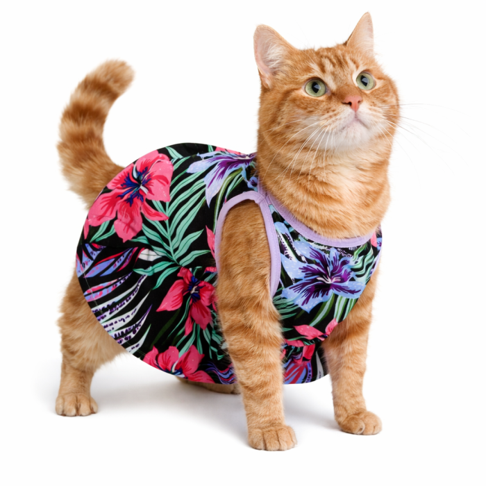 Літня тонка сукня для котів та кішок "Квітка 1", різнокольорова, розмір XL