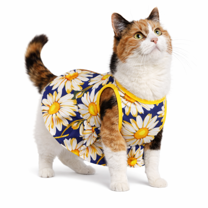 Літня тонка сукня для котів та кішок "Квітка 3", різнокольорова, розмір L