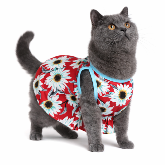 Літня тонка сукня для котів та кішок "Квітка 4", різнокольорова, розмір M