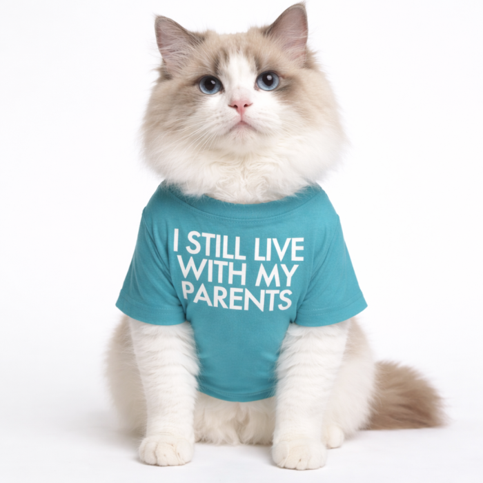 Летняя трикотажная футболка для котов и кошек "I steel", голубая, размер L