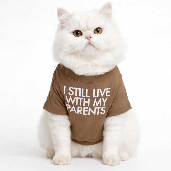 Літня трикотажна футболка для котів та кішок "I steel", коричнева, розмір L