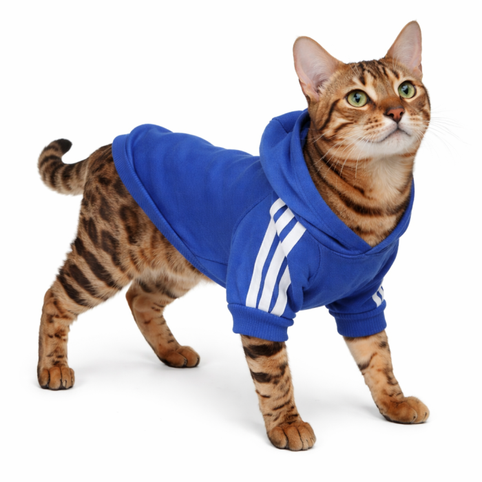 Осінньо-весняна однотонна толстовка для котів та кішок "Спорт", синя, розмір 5XL