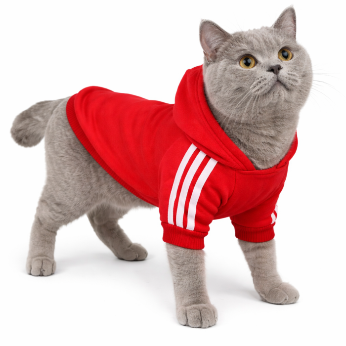 Осінньо-весняна однотонна толстовка для котів та кішок "Спорт", червона, розмір 4XL