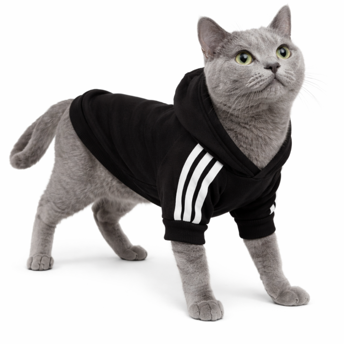 Осеннее-весенняя однотонная толстовка для котов и кошек "Спорт", черная, размер 3XL