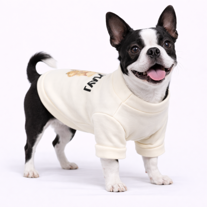Демисезонный кроп-свитшот для собак "Good Day", белый, размер 2XL