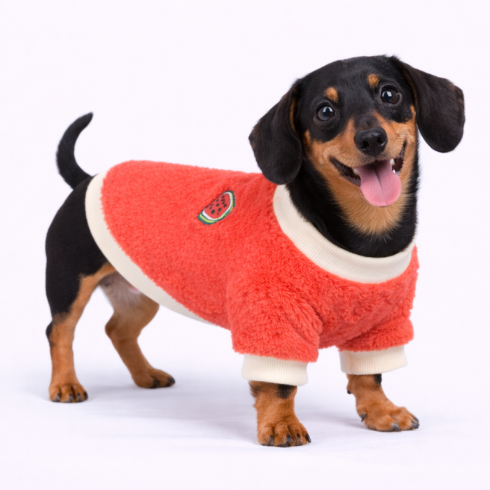 Осеннее-весенний махровый свитер для собак "Арбуз", красный, размер 2XL
