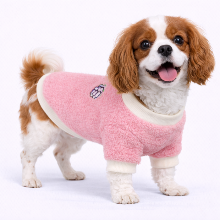 Осеннее-весенний махровый свитер для собак "Виноград", фиолетовый, размер 2XL