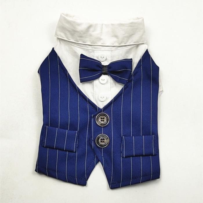 Праздничный костюм для собак-мальчиков "Джентельмен", синий, размер 2XL