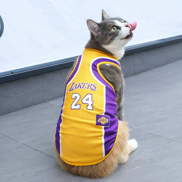 Летняя спортивная майка для котов Lakers 24 желтая XXL