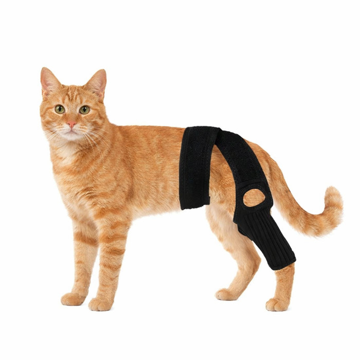 Реабилитационный бандаж колена для котов черный фиксатор после операции M