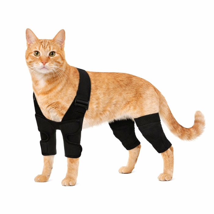 Поддерживающий двойной наколенник для кошек черный бандаж для суставов ног S