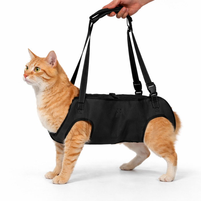 Підтримуюча шлейка для котів Pet Style бандаж на все тіло при травмах та слабкості лап L