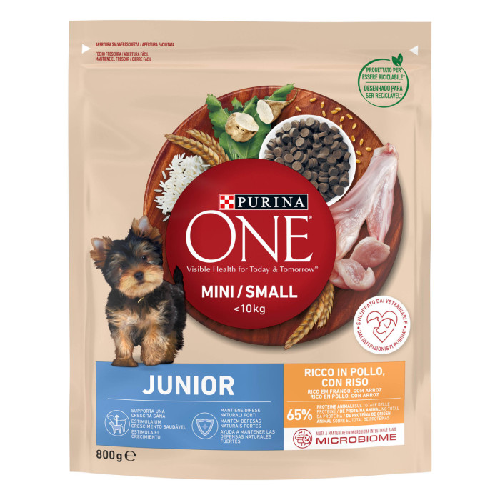 Сухий корм PURINA ONE Mini/Small Junior для цуценят малих порід, з куркою, 800 г