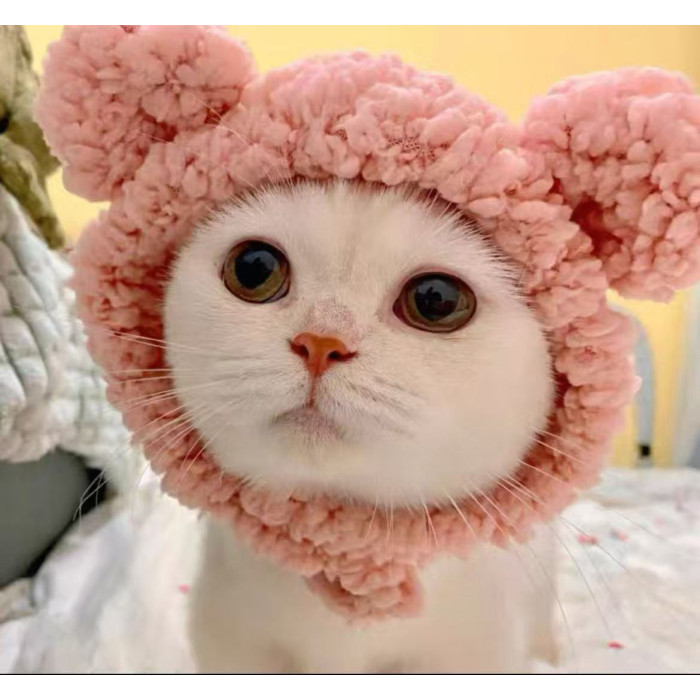 Шапка для котів PetStyle з вушками, зимова плюшева шапка для котів Рожева
