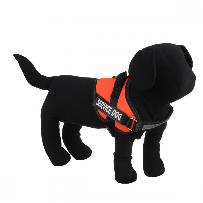 Регульована посилена шлея для собак Service Dog, помаранчева, розмір S