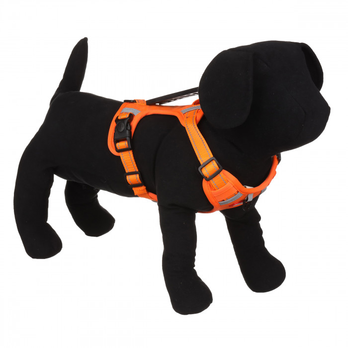 Анатомічна нейлонова шлея для собак "DuoMM", помаранчева, розмір S