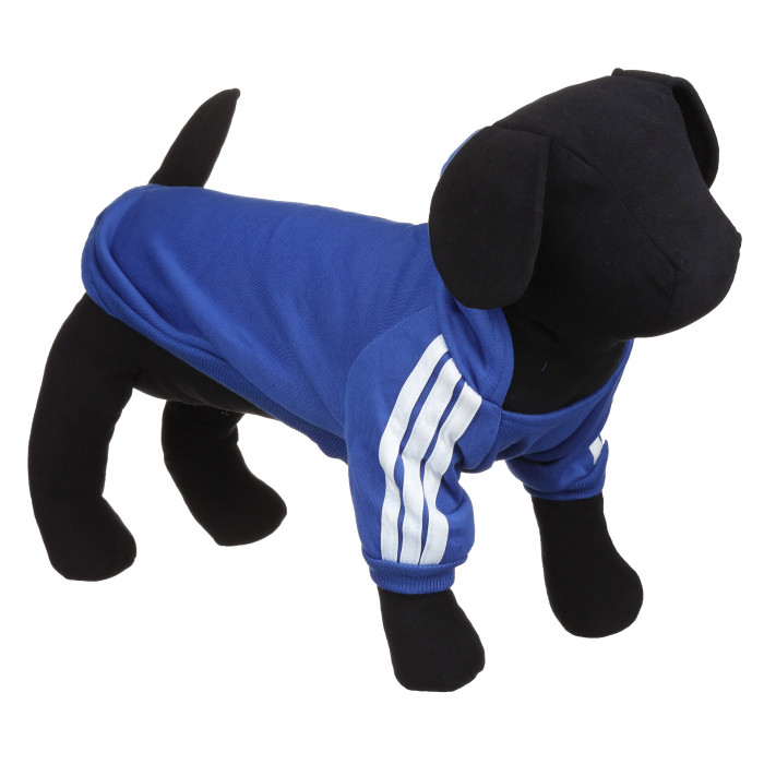 Осінньо-весняна однотонна толстовка для собак "Спорт", синя, розмір XL