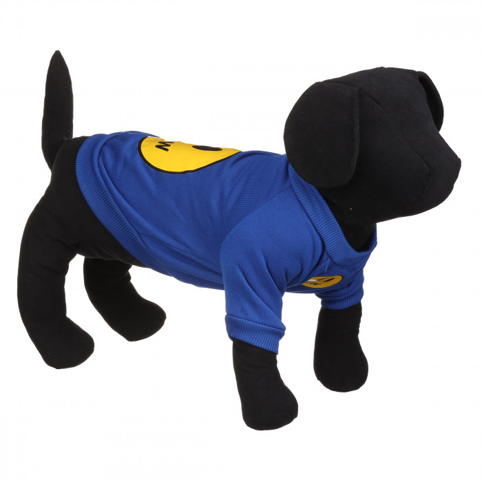 Осеннее-весенний свитшот для котов и кошек "Smile", синий, размер M