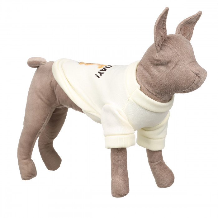 Демісезонний кроп-світшот для котів та кішок "Good Day", білий, розмір 2XL