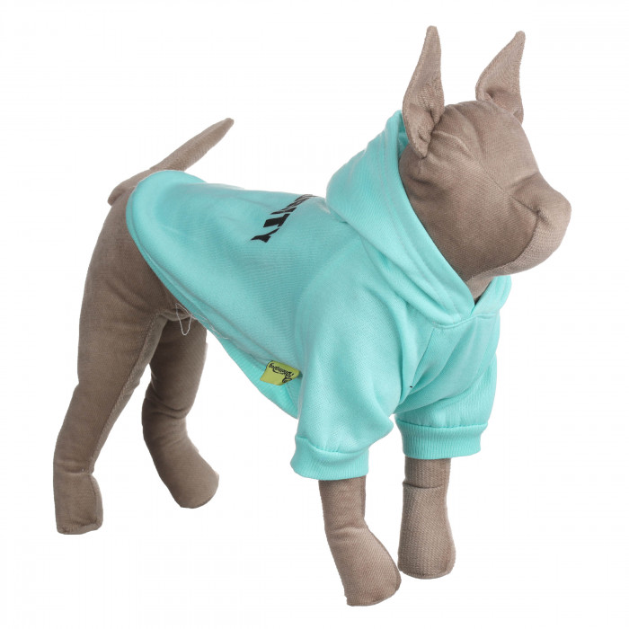 Осінньо-весняне худі для котів та кішок "Security" з капюшоном, бірюзове, розмір M