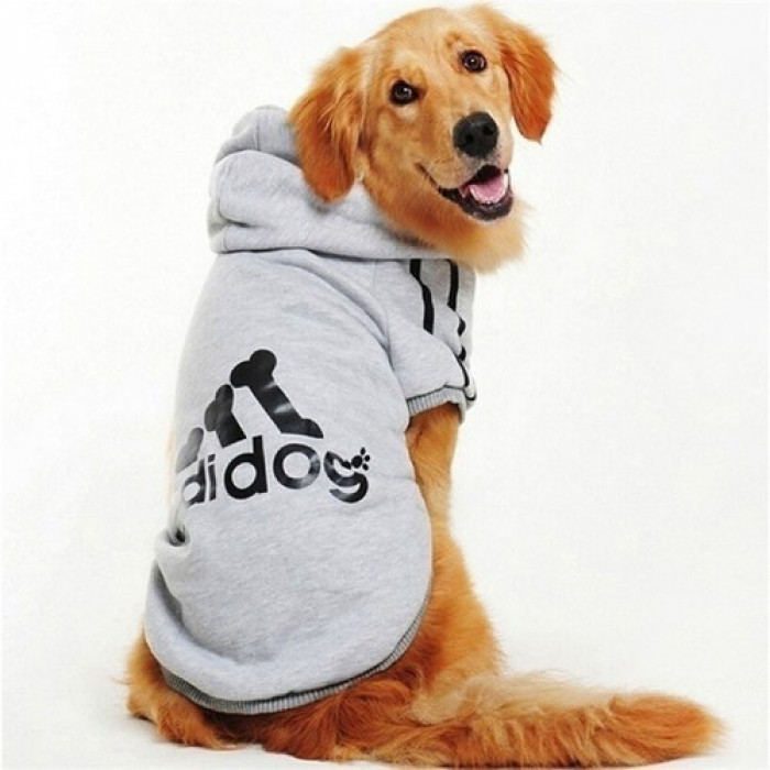 Осінньо-весняне спортивне худі для котів та кішок "Adidog" сіре, розмір 5XL
